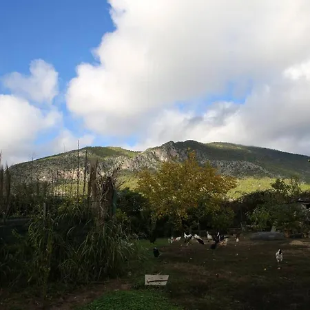 Holiday home Cozy House Mountain View Algodonales